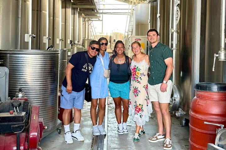 Half-day Chianti Classico Wine tour from Florence - Small Group