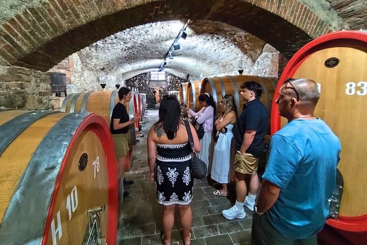 Half-day Chianti Classico Wine tour from Florence - Small Group