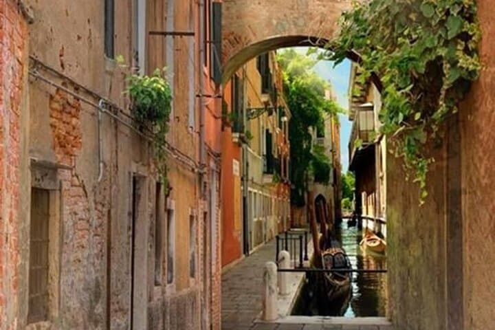 Venice: Guided Walking Tour with Expert Local Guide