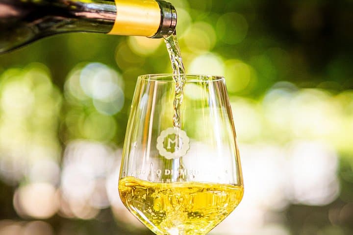 From Vineyard to Table: Wine Tasting & Neapolitan Lunch in Pompei