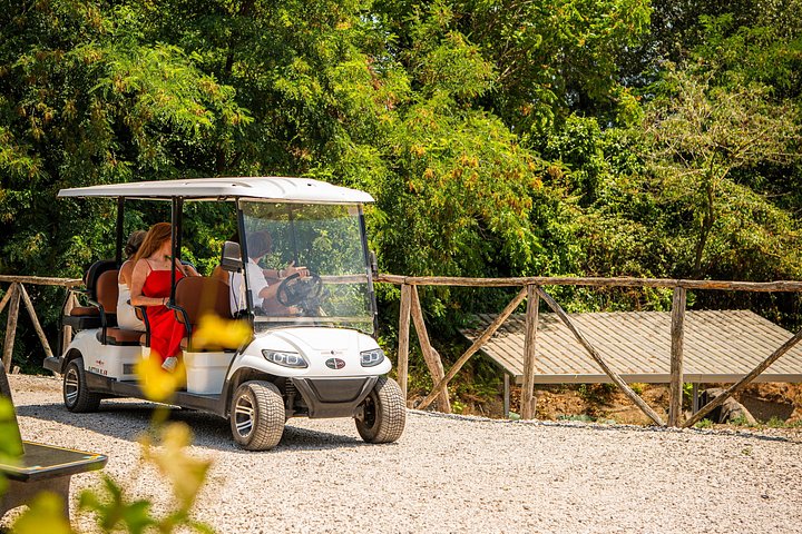 From Vineyard to Table: Wine Tasting & Neapolitan Lunch in Pompei