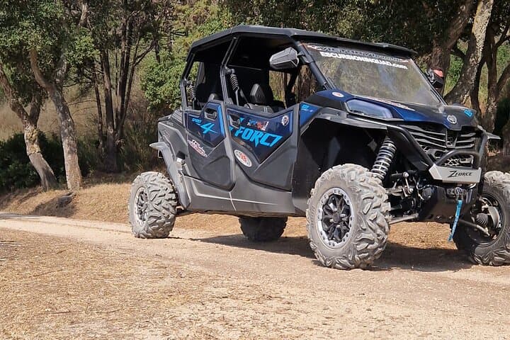 1000 cc 4x4