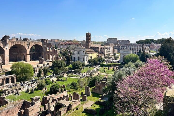 Palatine Hills