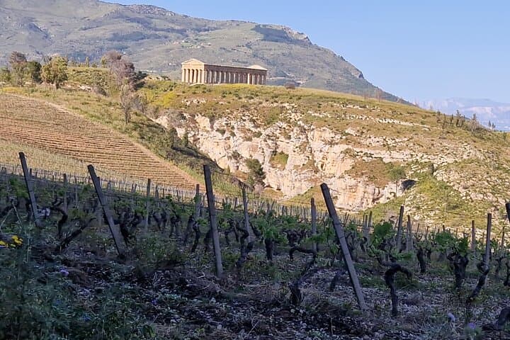 Quad and side by side tour in Calatafimi Segesta 3.5 hours