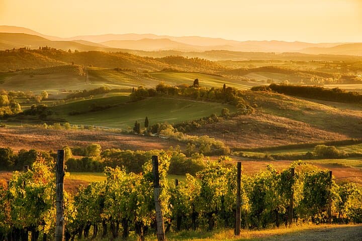 From Florence Chianti Wine Tour with Tastings Half Day