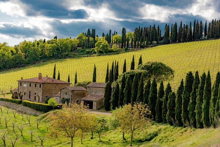 From Florence Chianti Wine Tour with Tastings Half Day