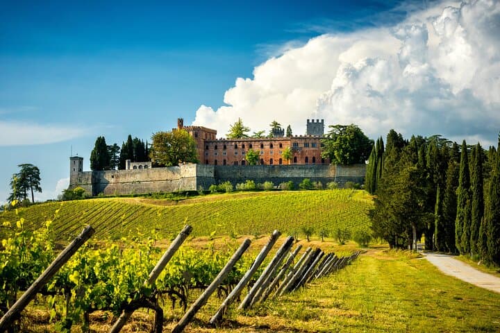 From Florence Chianti Wine Tour with Tastings Half Day