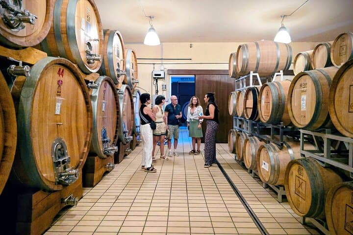 Winery cellar guided tour