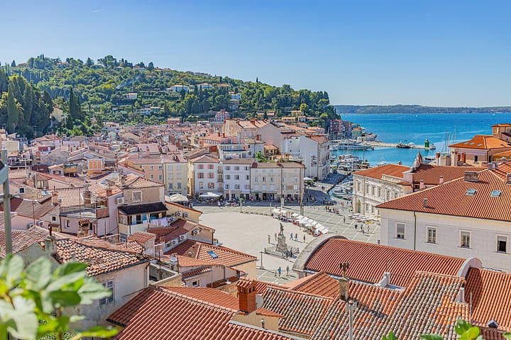 Slovenian coast from Trieste - Private tour