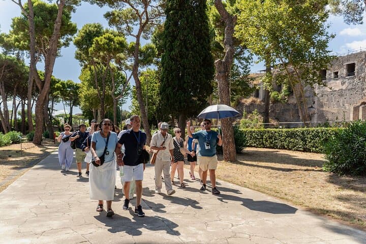 From Rome: Best of Pompeii Guided Tour and Sorrento Day Trip