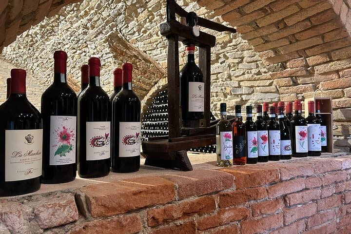Private Winery and Vineyard Tour with Wine Tasting
