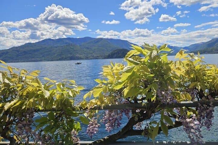 Lake Como Full Day Tour from Milan Varenna Bellagio and Como