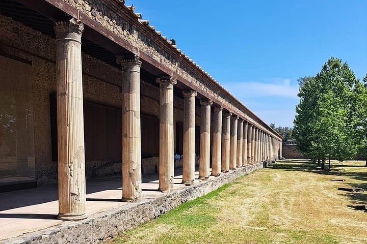 Naples Pompeii and Mount Vesuvius Tour