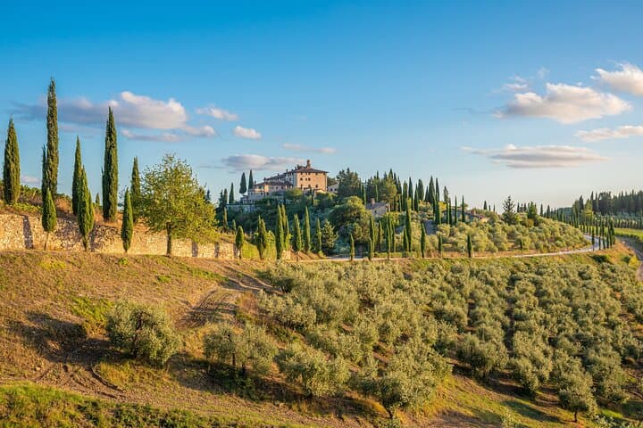 Golf Cart Tour Highlights of Florence and the Hills