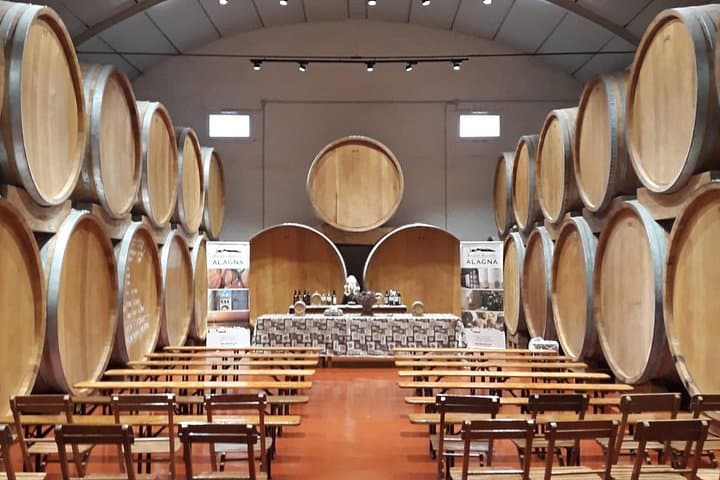 Reinforced Typical Food and Wine Tasting