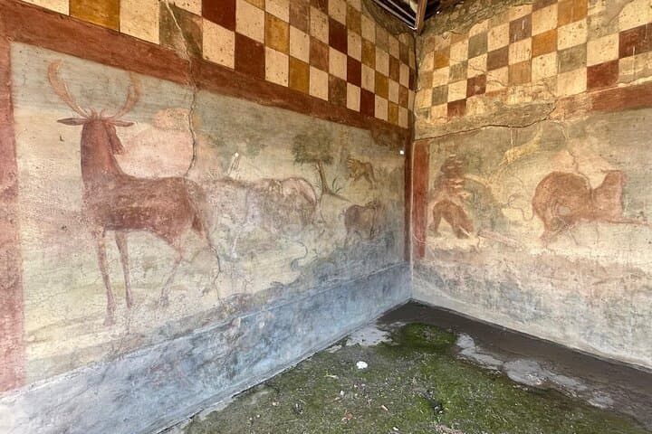 From Naples Shared Guided Tour of Pompeii with Wine Tasting