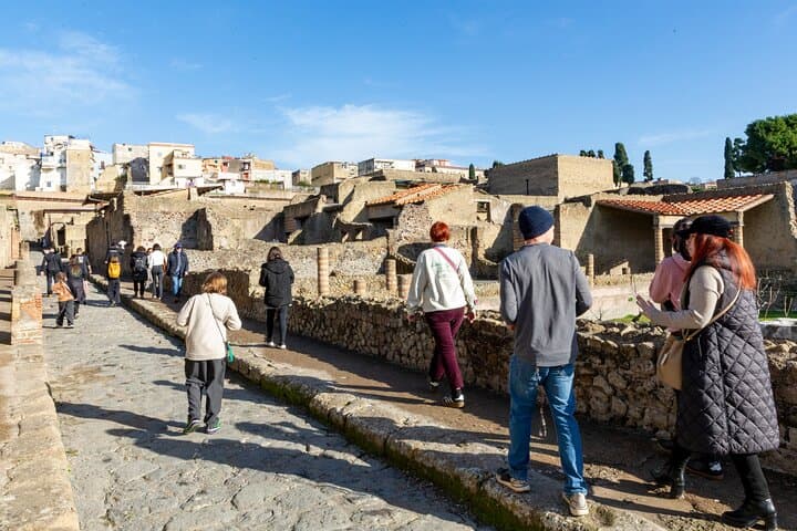 Herculaneum Skip-the-Line Guided Exevutive Tour From Naples