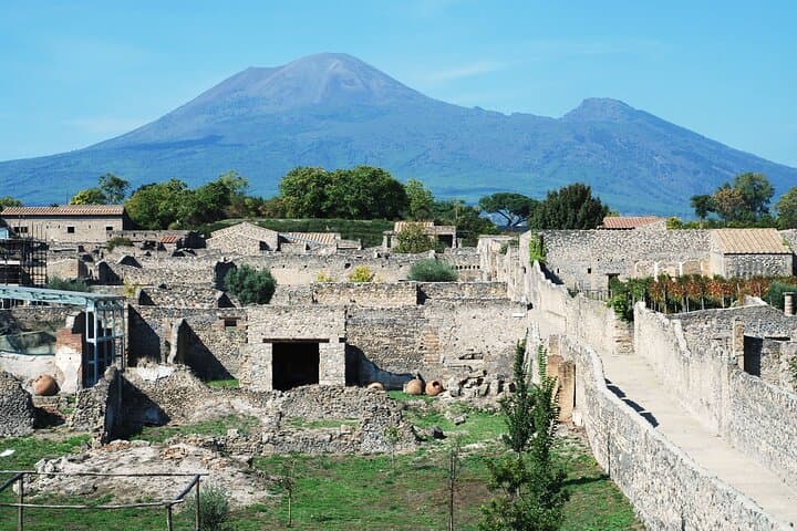 Pompeii and Sorrento Day Trip from Rome with Limoncello Tasting