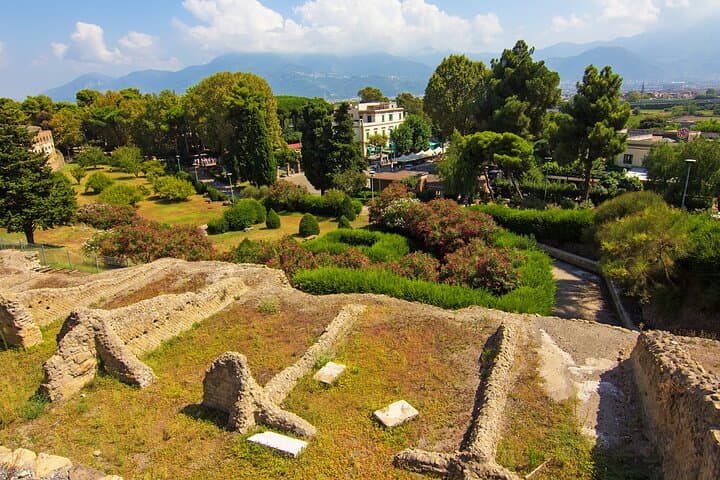 Pompeii and Sorrento Day Trip from Rome with Limoncello Tasting