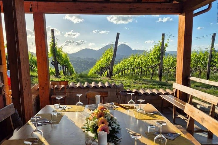 Vineyard Tasting and Aperitivo Day Trip from Rome