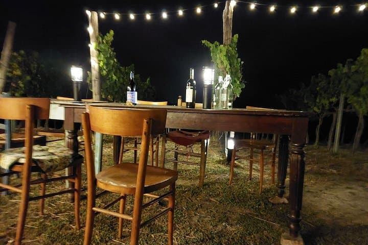 Vineyard Tasting and Aperitivo Day Trip from Rome