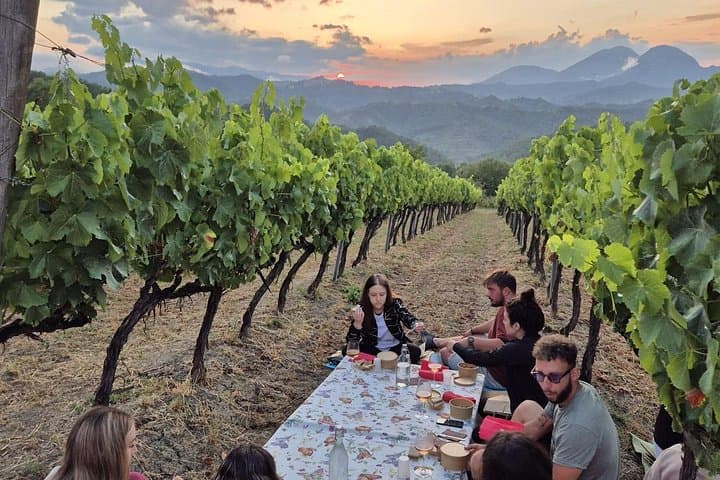 Vineyard Tasting and Aperitivo Day Trip from Rome