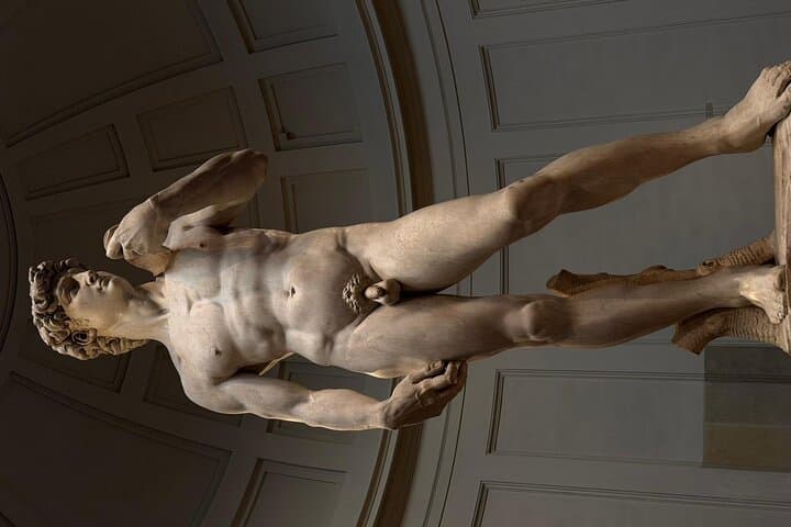 Accademia Gallery: Elite Tour with Expert Guide