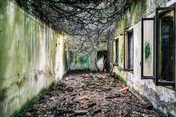 Poveglia Island Tour from Venice (Private Tour)