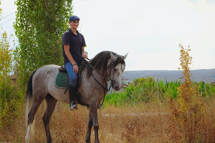 Horseback Riding on Vesuvius