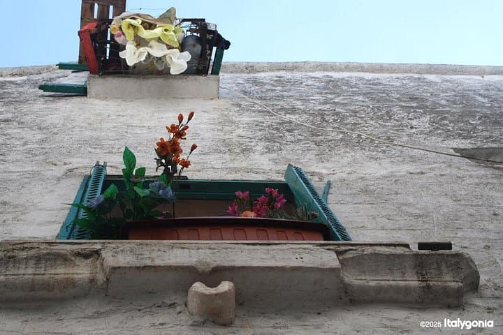 Cisternino Private Tour: a truly authentic Apulian village