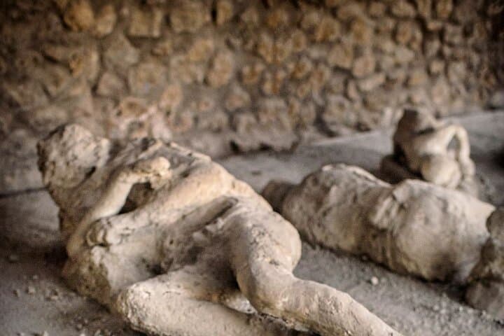 Pompeii Private Guided Tour with round Trip private Transfer
