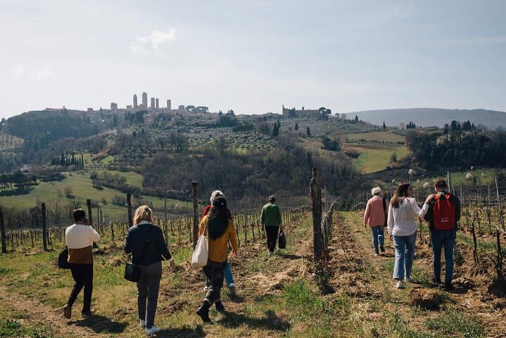 Join a guided tour to uncover the fascinating stories and culture of Tuscany’s treasures
