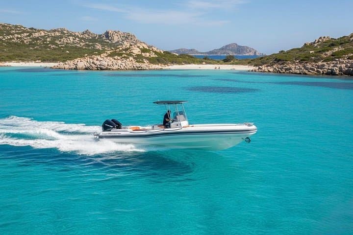 Olbia Dolphin watching and snorkeling boat tour