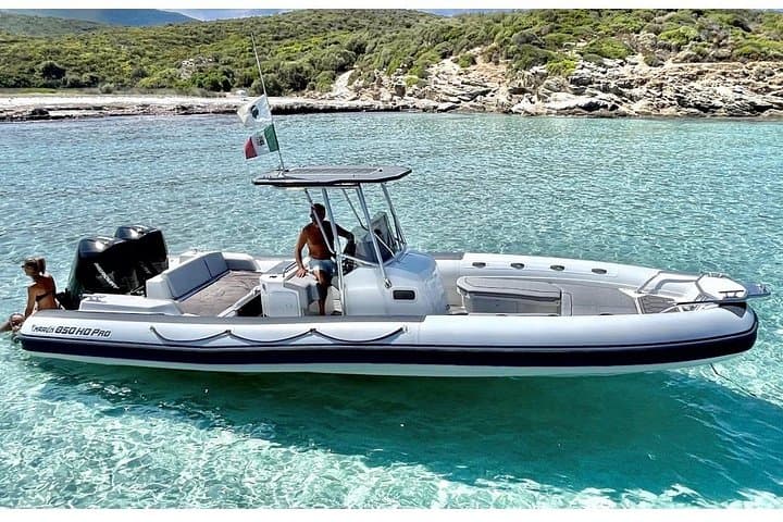 Olbia Dolphin watching and snorkeling boat tour