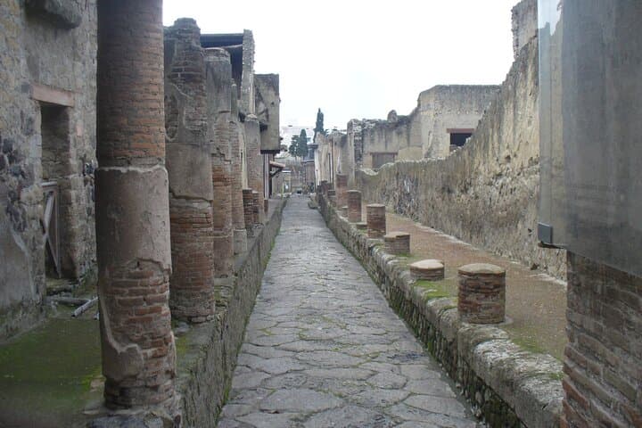 Herculaneum Private Guided Tour with round Trip private Transfer
