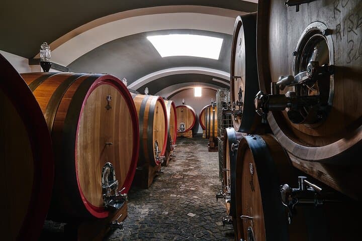 Organic Wine Tasting & Lunch on Vesuvius with Transfer from Pompeii