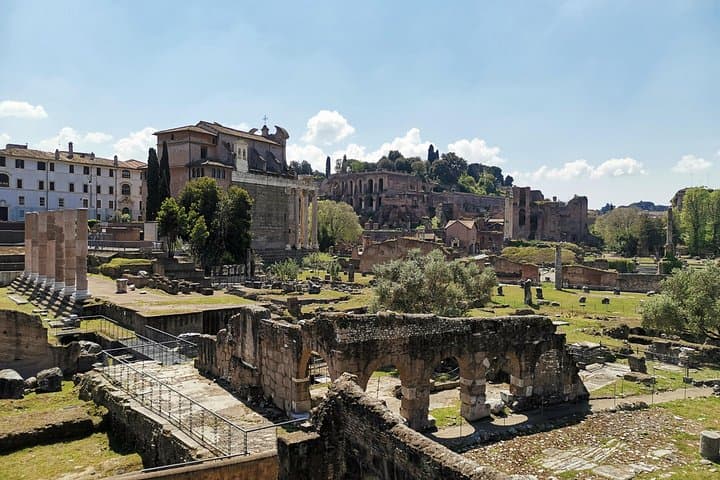 Private Roman Forum Palatine Hill Tour with Augustus and Livia