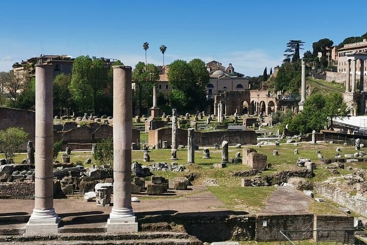 Private Roman Forum Palatine Hill Tour with Augustus and Livia