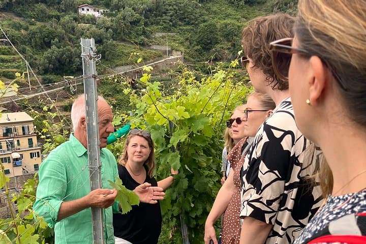 Tour in vigna