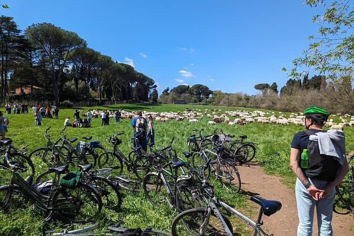 Appian Way Bike Rental Park Official Partner