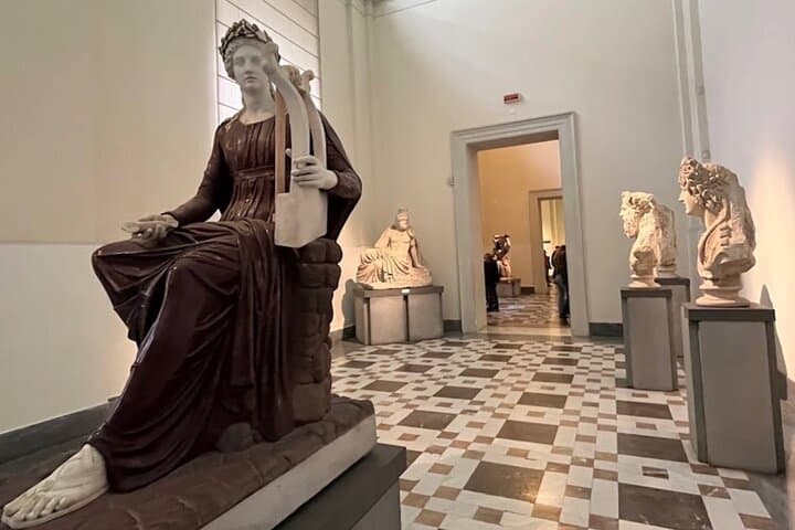Private Tour of the Archaeological Museum of Naples