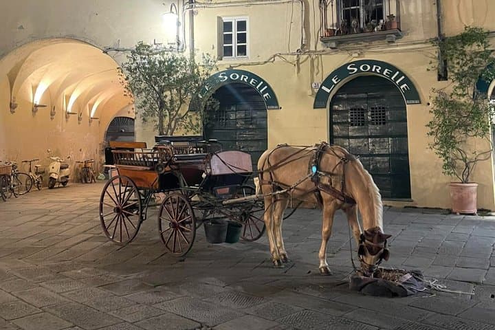 1-Hour Carriage Tour – Historic Center and Renaissance Walls