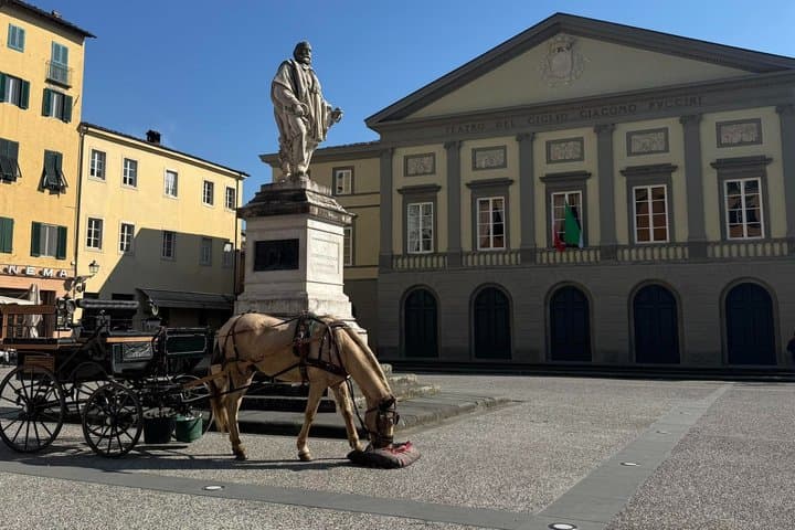 1-Hour Carriage Tour – Historic Center and Renaissance Walls