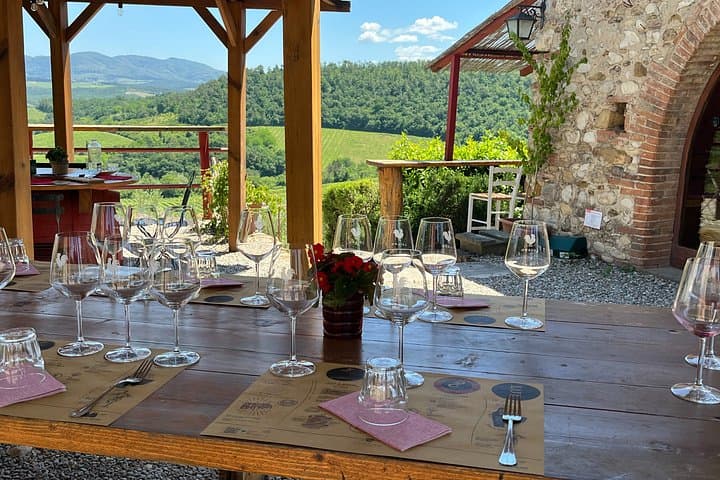 Florence to Chianti E Bike Tour with Vineyard Picnic