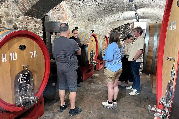 Florence to Chianti E Bike Tour with Vineyard Picnic