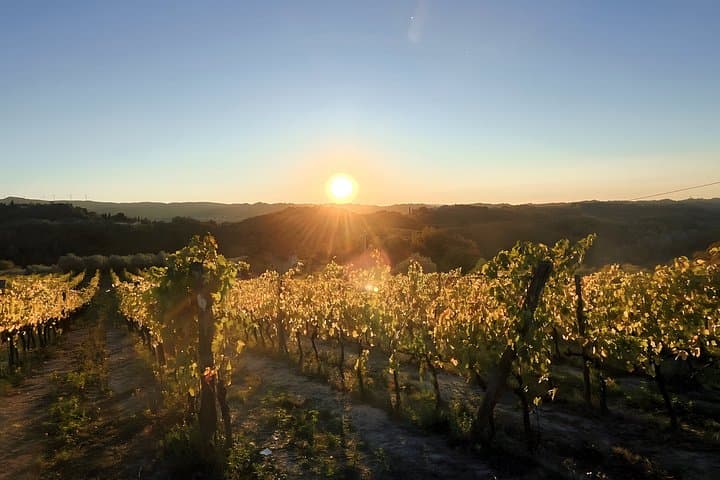 Florence to Chianti E Bike Tour with Vineyard Picnic