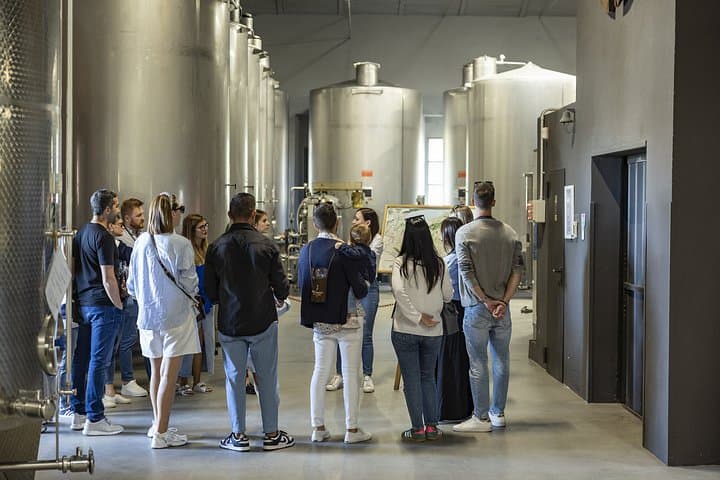 Brescia: Franciacorta Wine Tasting in a Historical Winery