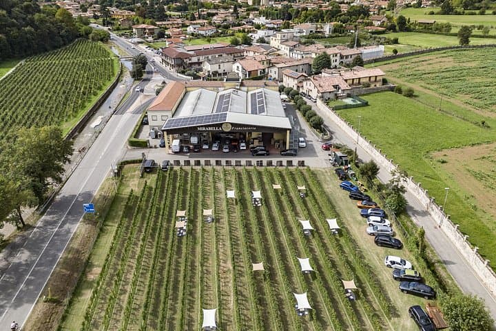Brescia: Franciacorta Wine Tasting in a Historical Winery