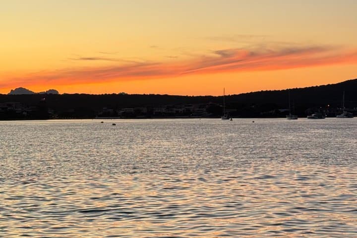 Golfo Aranci: 3-hour tour with dolphins and aperitif on a sailboat