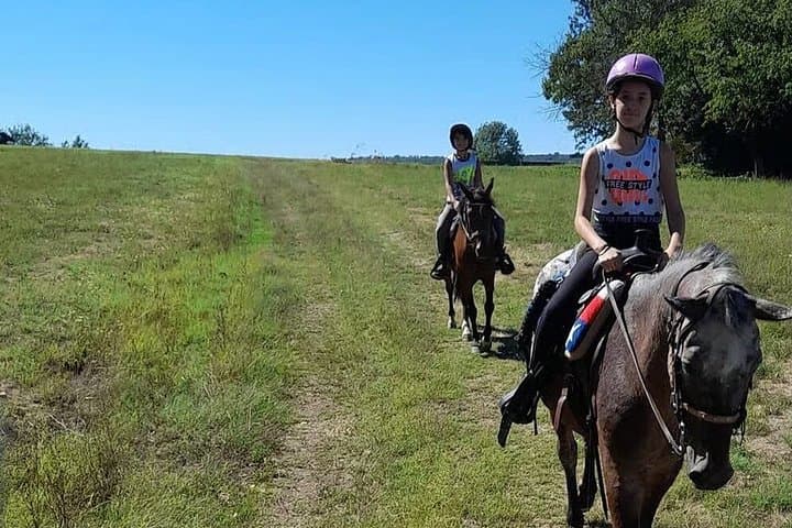 Turin : Horseback riding on the hills of Albiano d’Ivrea